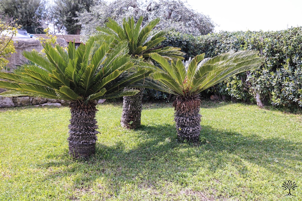 Radici Sicilian Holiday Home - C An Oasis of Relaxation in the Heart of Sicily