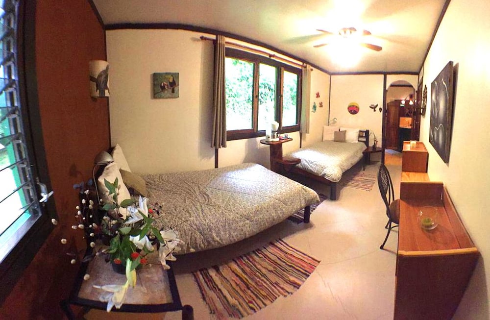 Lucky Bug B & B