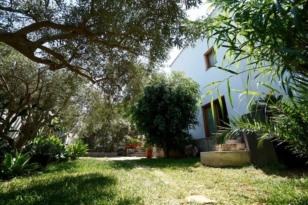 Photo 33