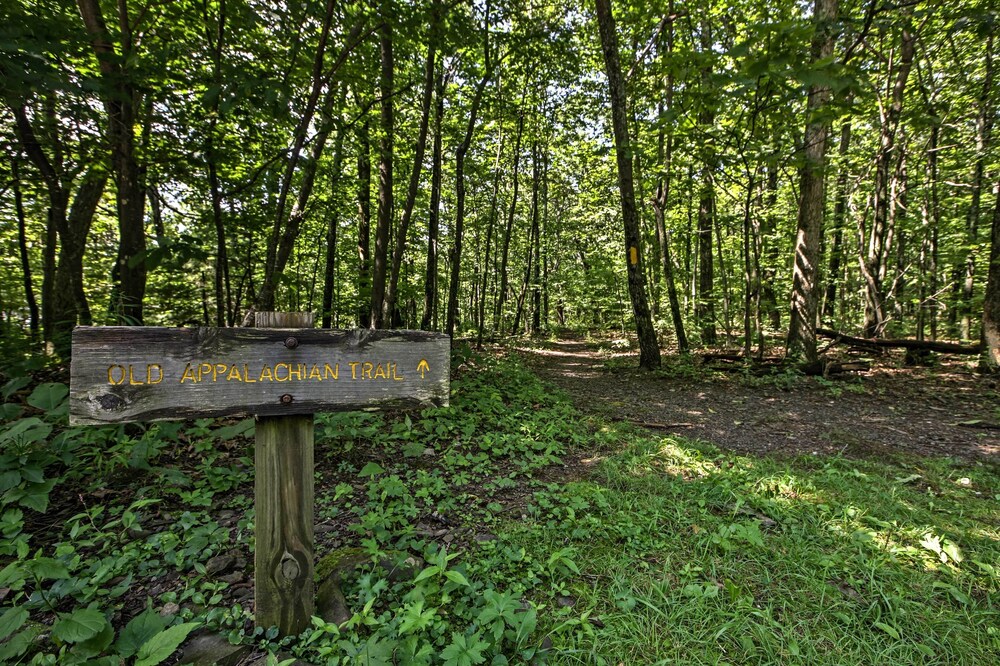 Patio + Pool Access: Wintergreen Resort Getaway!
