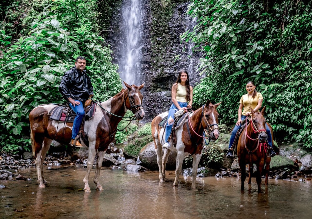 Arenal Paraíso Resort & Thermo Mineral Hot Springs