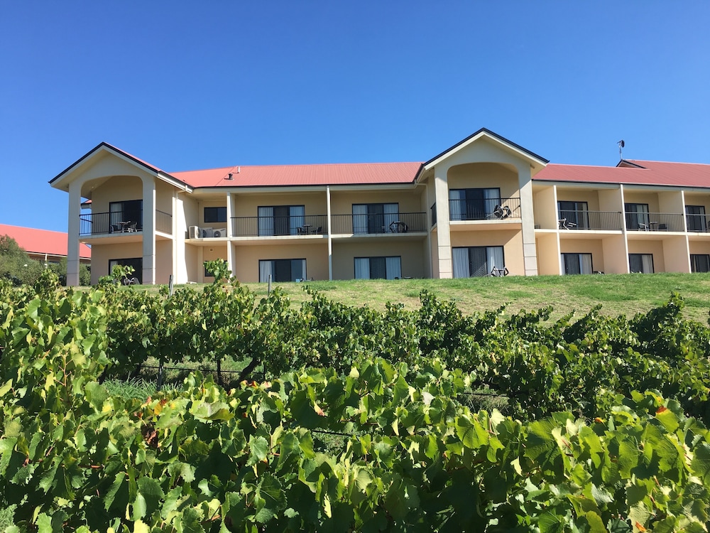 Turners Vineyard
