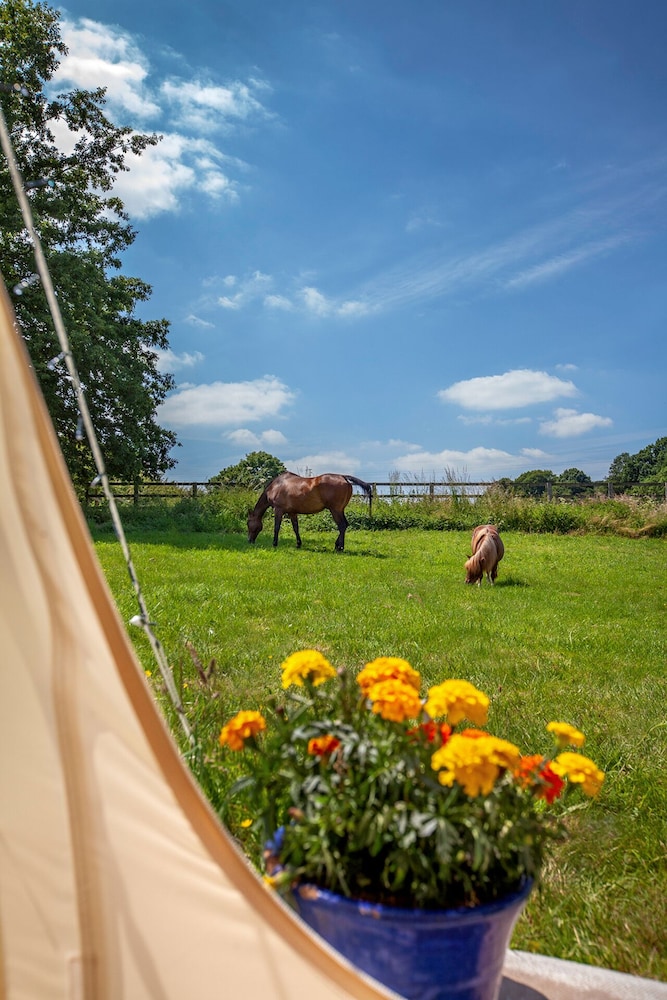Loughborough Vacations - Star Gazing Bell Tent Farm Stay - Property Image 11