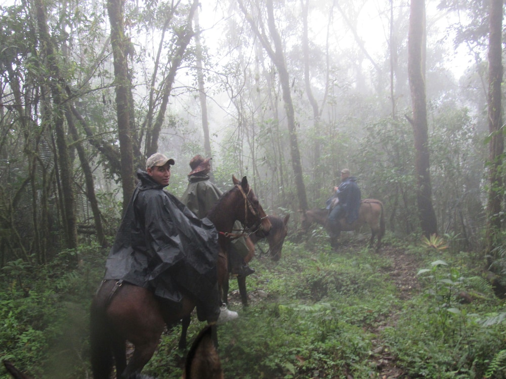 Finca Los Arboles