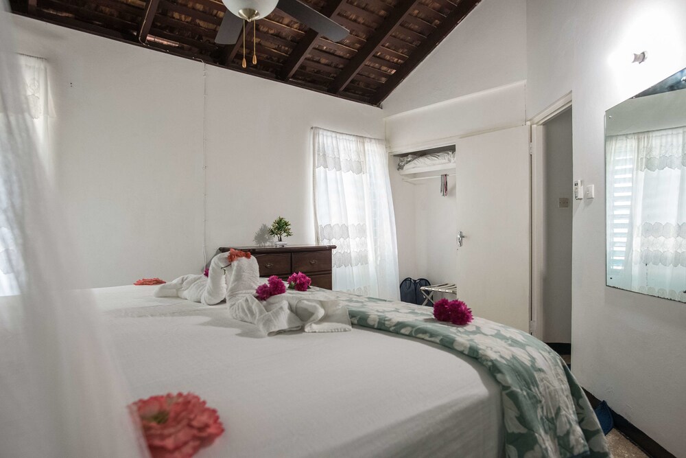 Beach Palm Villa, photo 64