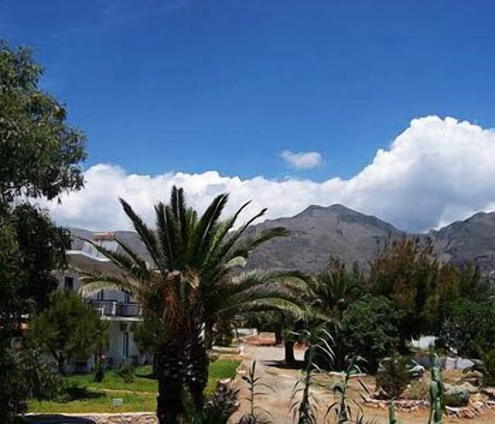 Photo 23