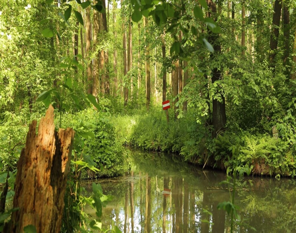 Apartment in Spreewald Near Lubben Castle