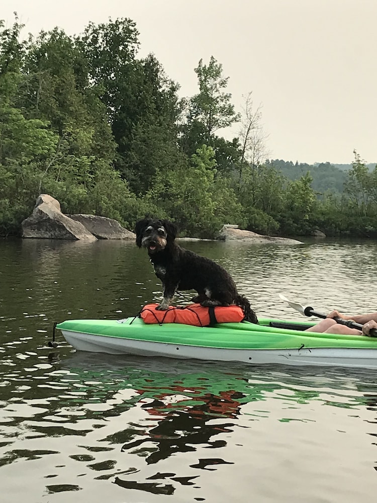 Staying by the Lakeside Cottages