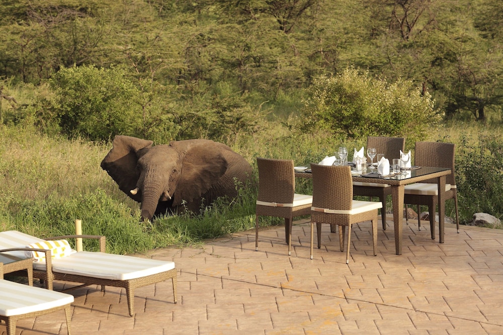 Spirit Of The Masai Mara