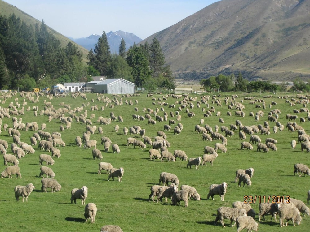 Dunstan Downs High Country Sheep Station