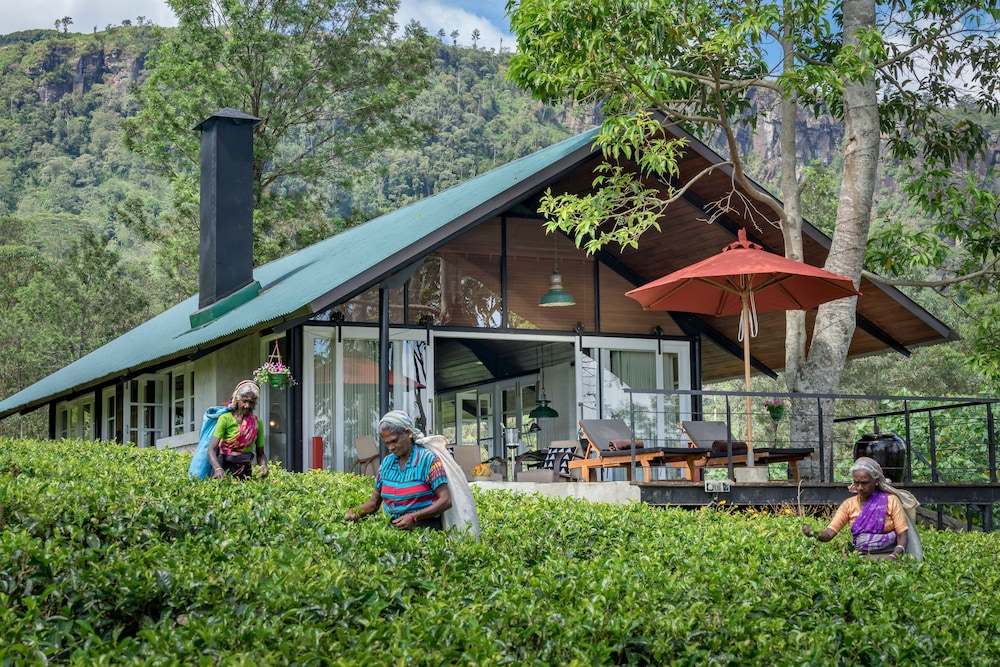 Madulkelle Tea and Eco Lodge