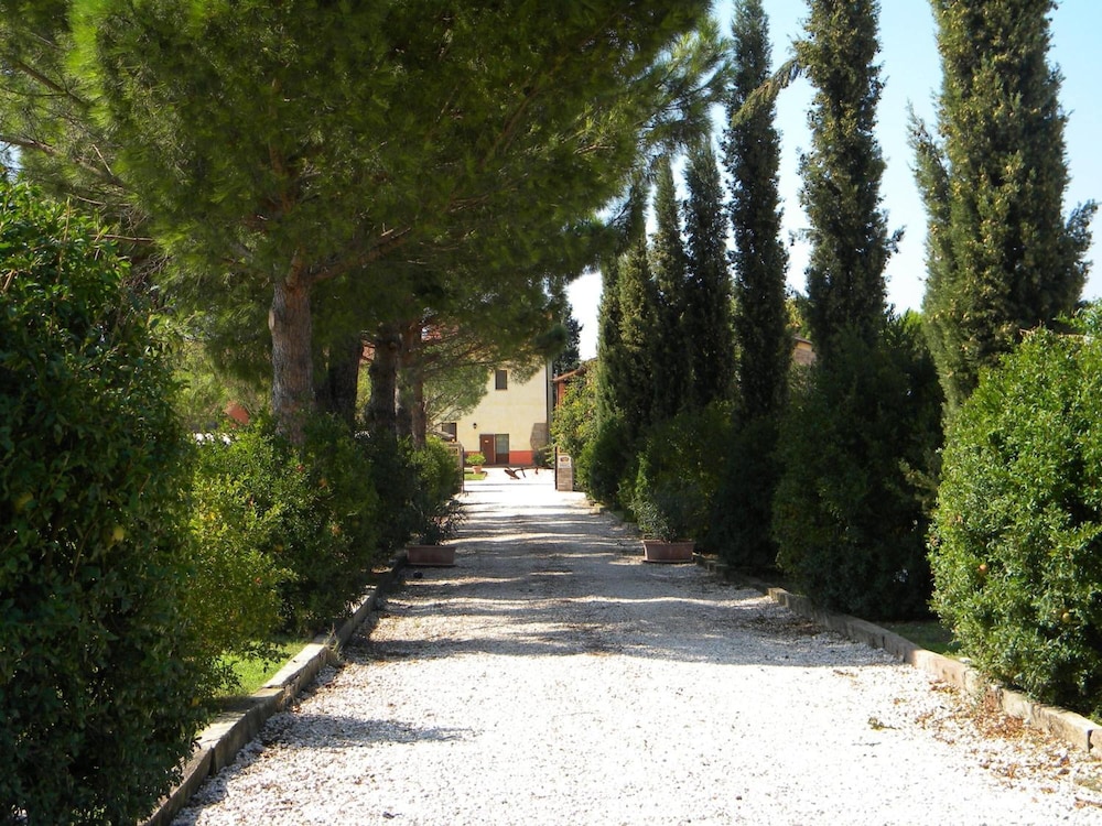 Photo 28