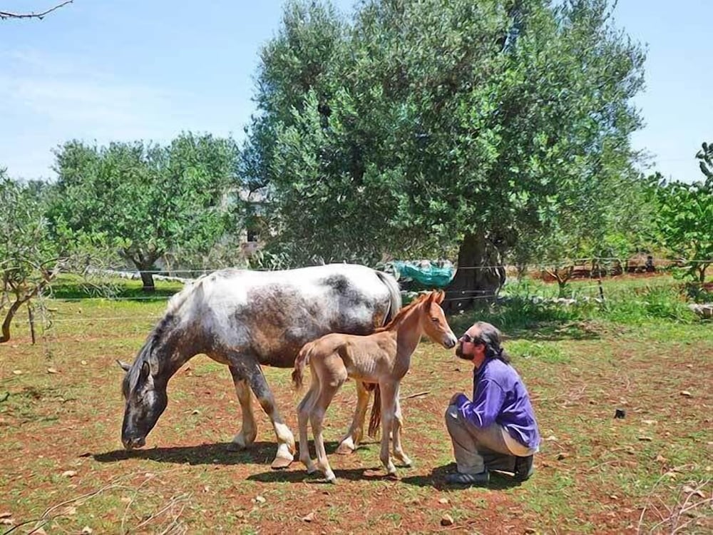 Photo 40