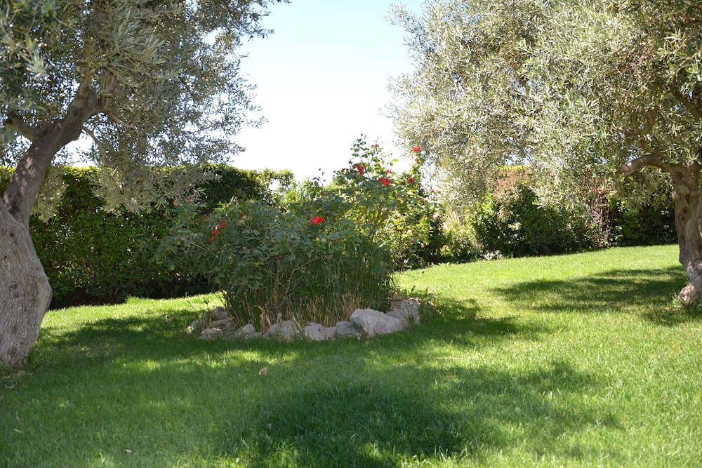 Photo 26