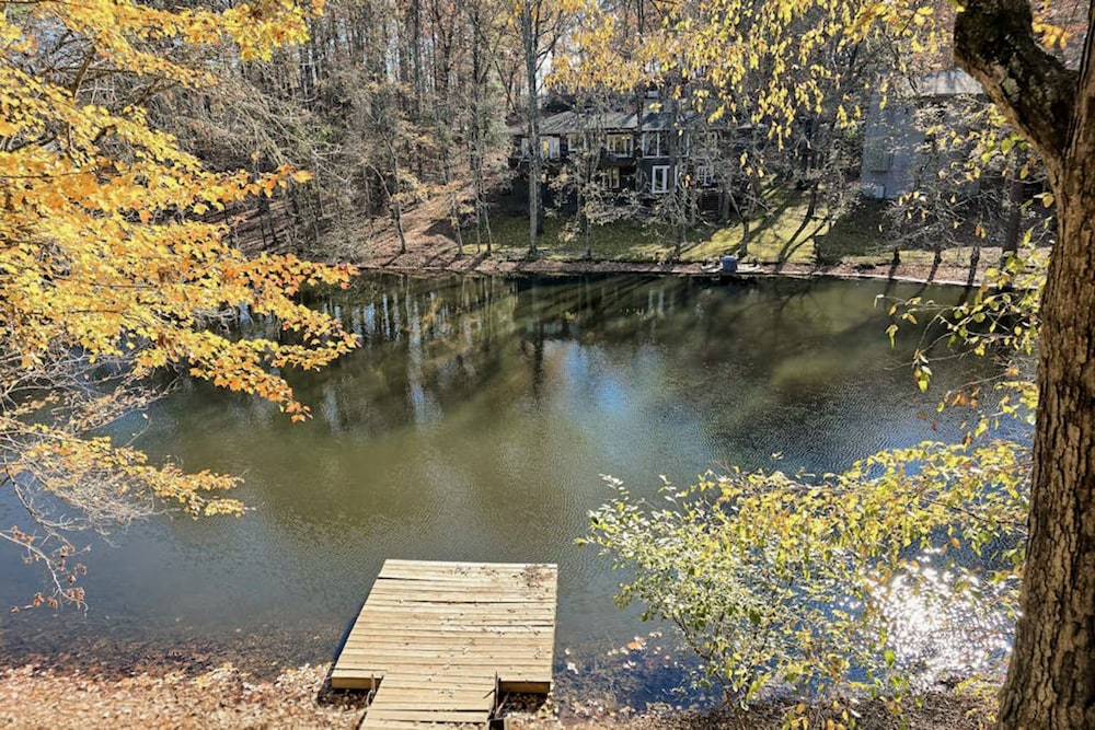 Lakeside Bliss