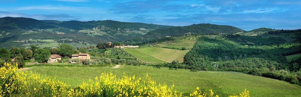 Il Prato Vignamaggio Private Pool Nature