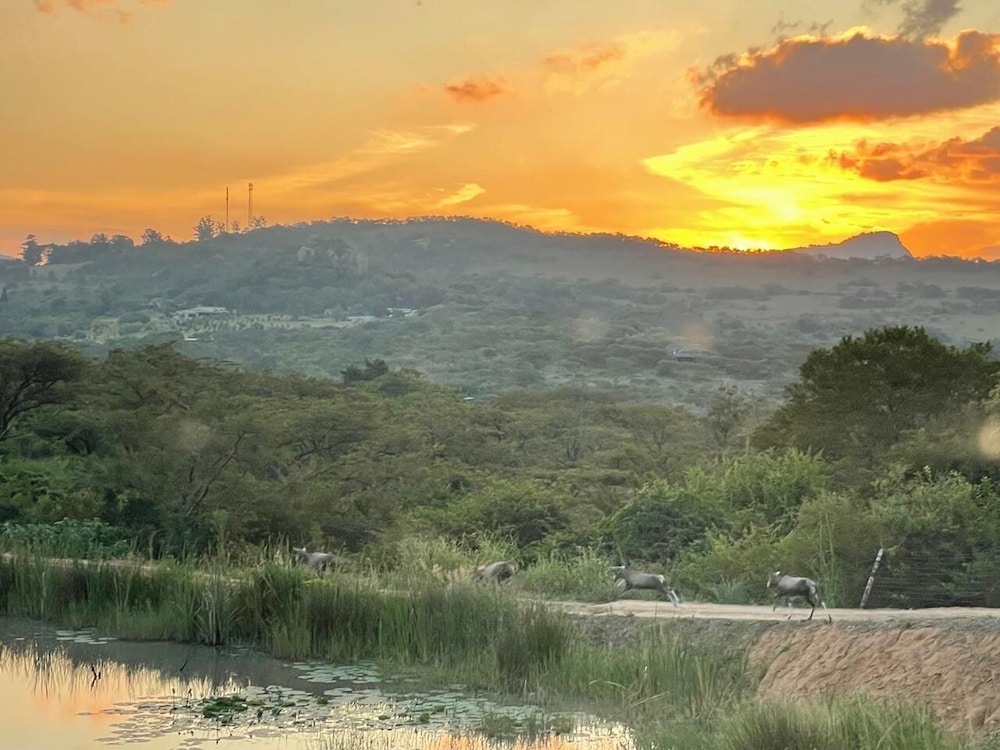 Syeta Bush Lodge