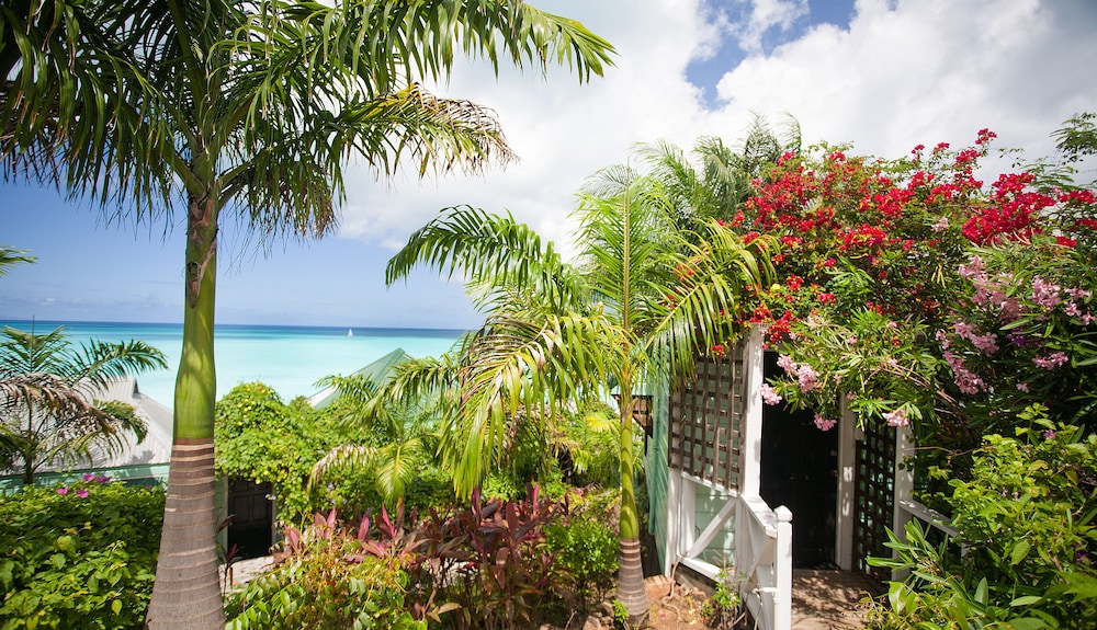 COCOS Hotel - Adults Only - Caters to Couples - All Inclusive - Property Image 67