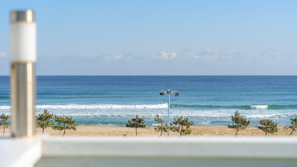 Yangyang Bono Pet-friendly Pension