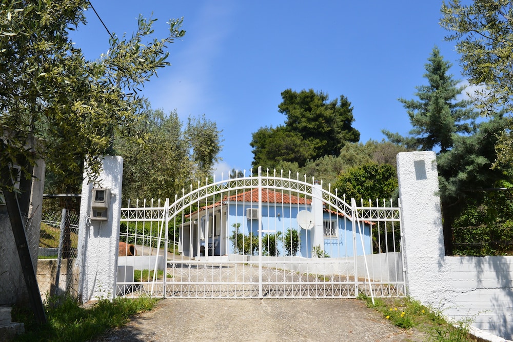 Photo 42