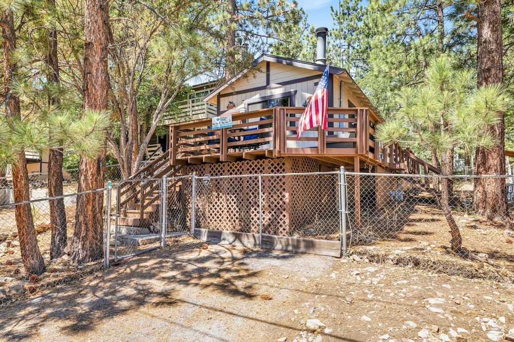 Bear Forest Cabin #2553