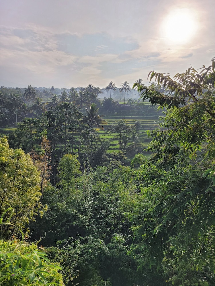 Les Rizieres Lombok - Tetebatu