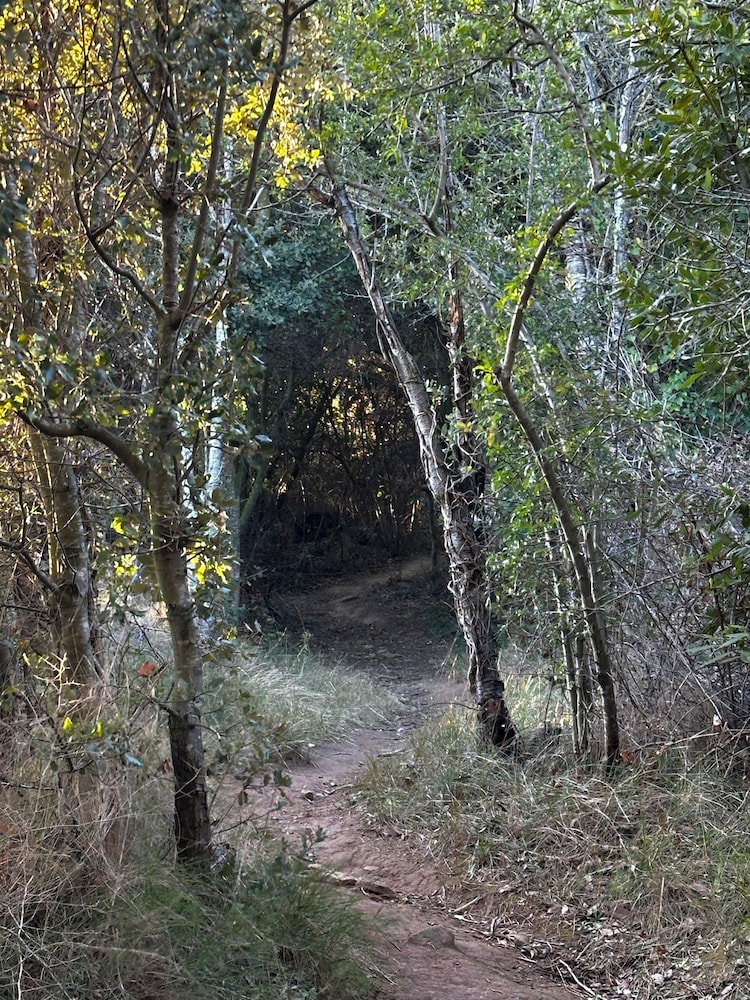Oasis Des Corbières