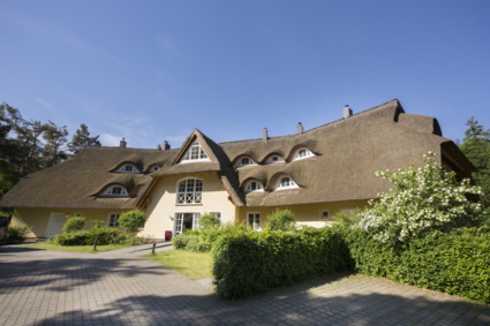 Ferienwohnung mit Terrasse in Dierhagen