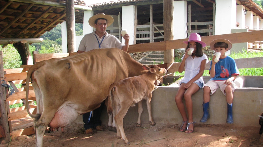 Fazenda da Roseta