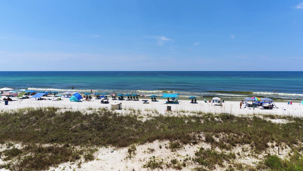 Beachfront Charm Meets Lake Life + Free Tickets: Dolphin Cruise & More!