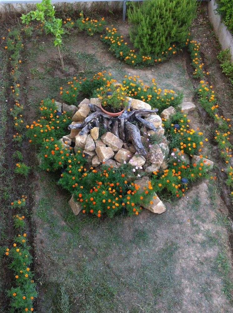 Photo 38