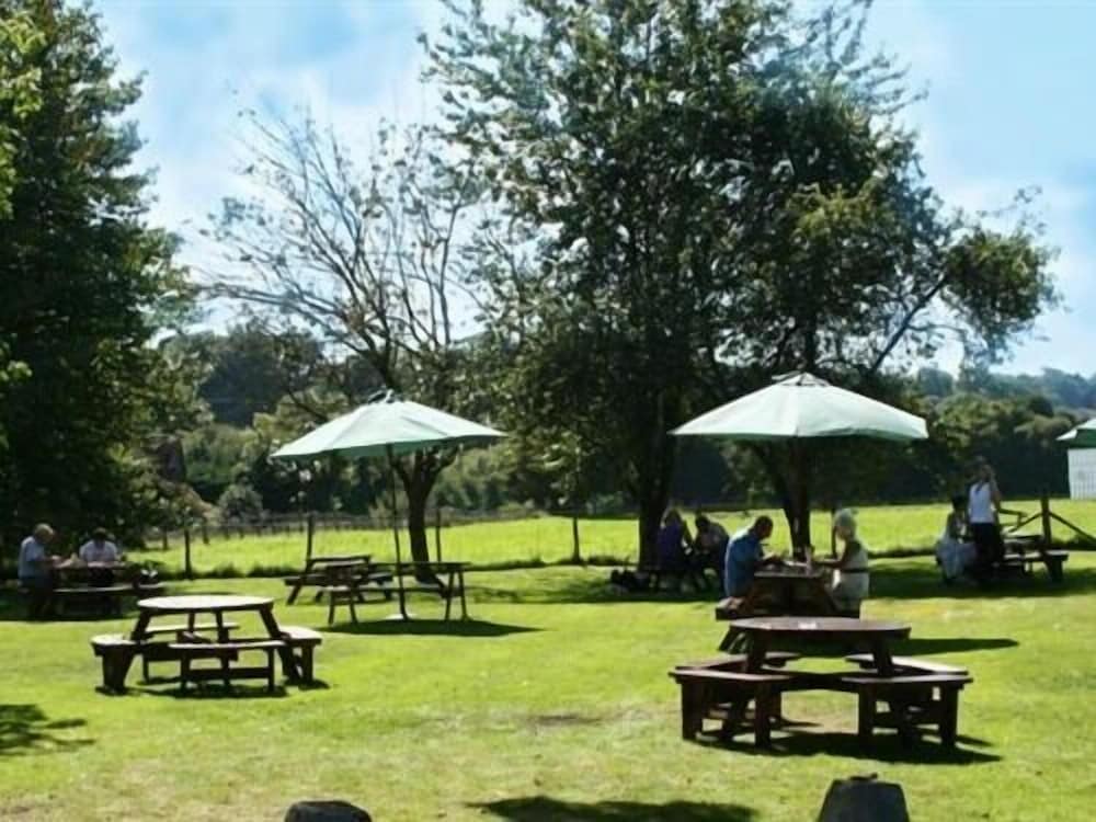 The Nags Head, photo 47