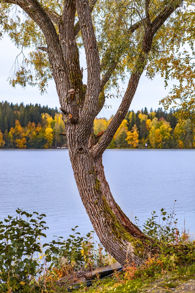 Aulanko Lake Villa - Peace & Privacy