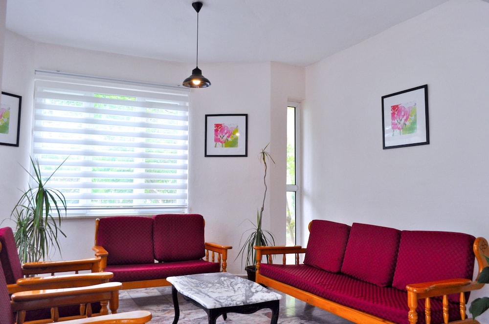 Native Otel - Image 14