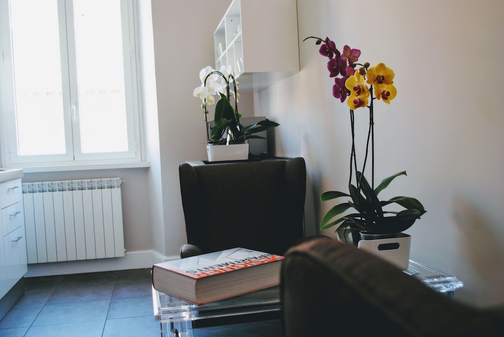 Guest House Cavour 278