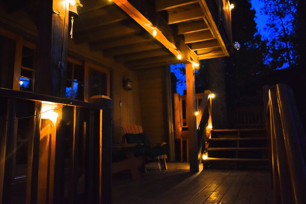 Big Cub Cabin #2521
