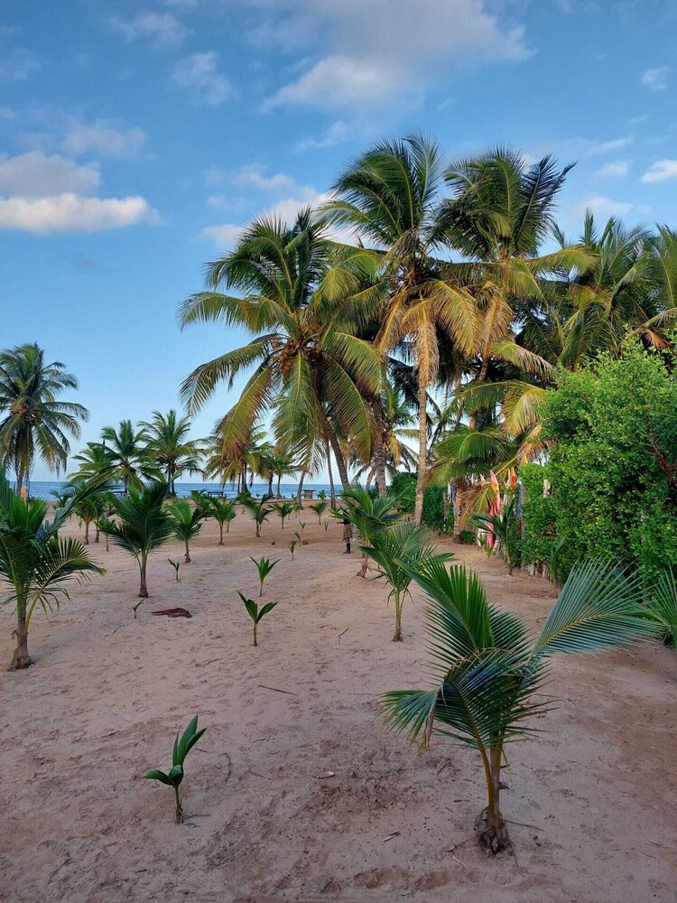 Punta Cana Ecolodge