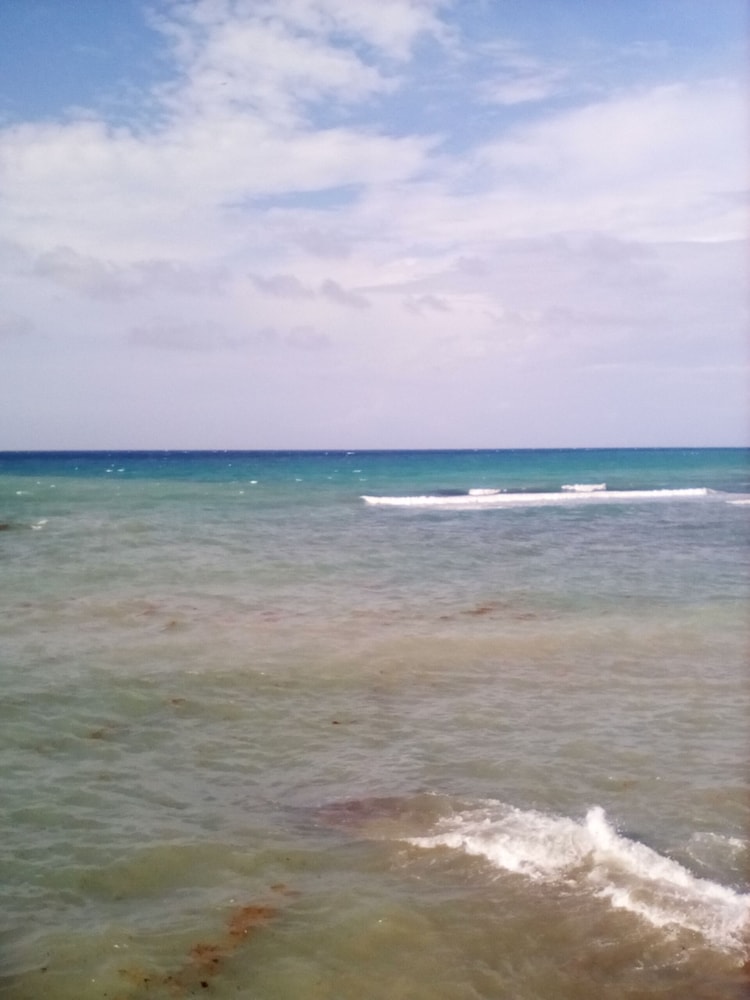 CariBlue Beach Hotel