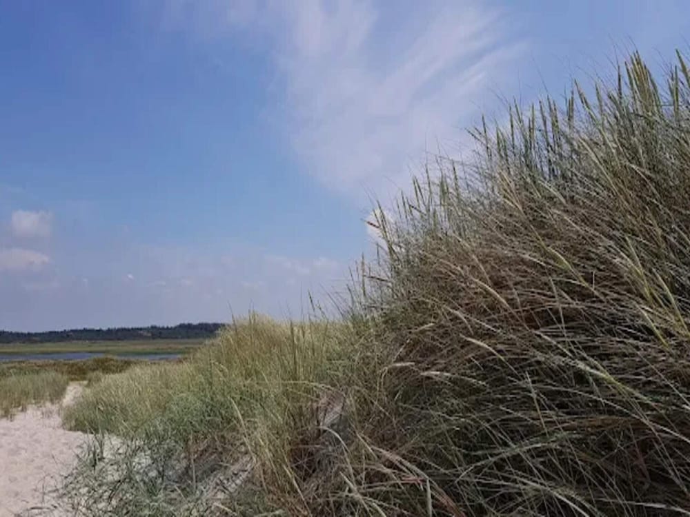 4 Star Holiday Home in Norre Nebel