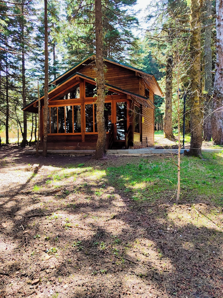 Karinna Forest Houses