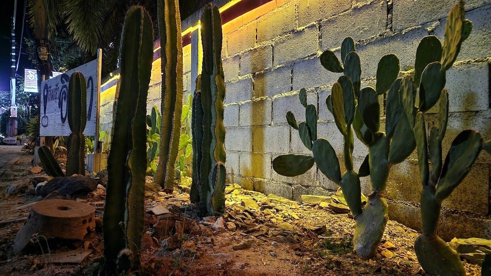 Photo 32