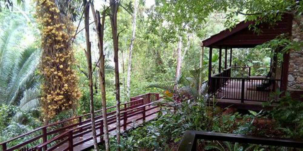 Belize Vacations - Belize Botanic Gardens' Cottages and Jungle Guest House - Property Image 1