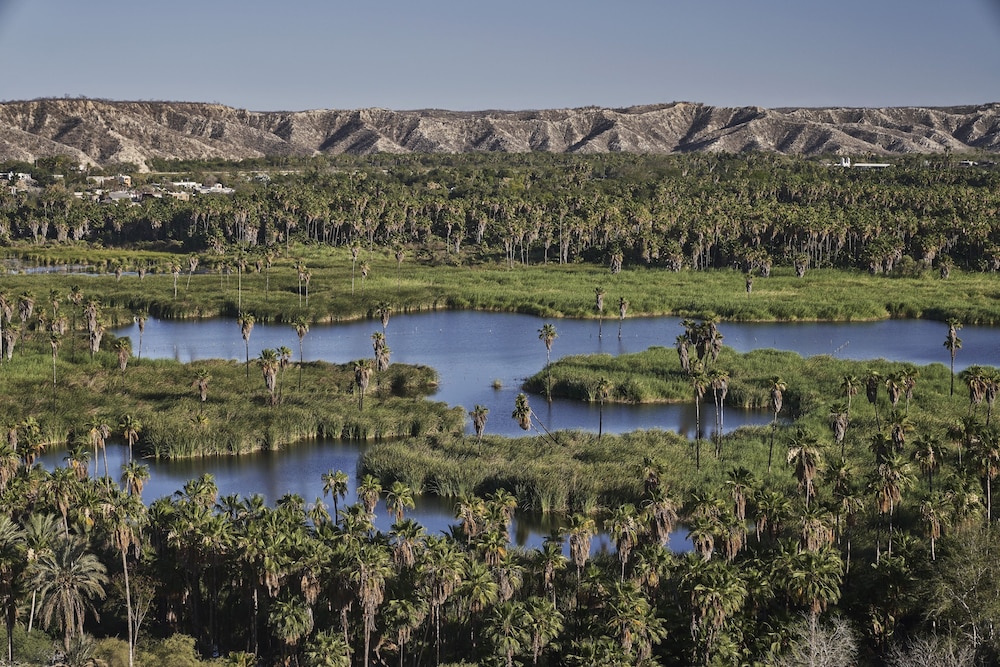 Four Seasons Resort Los Cabos at Costa Palmas - Property Image 186