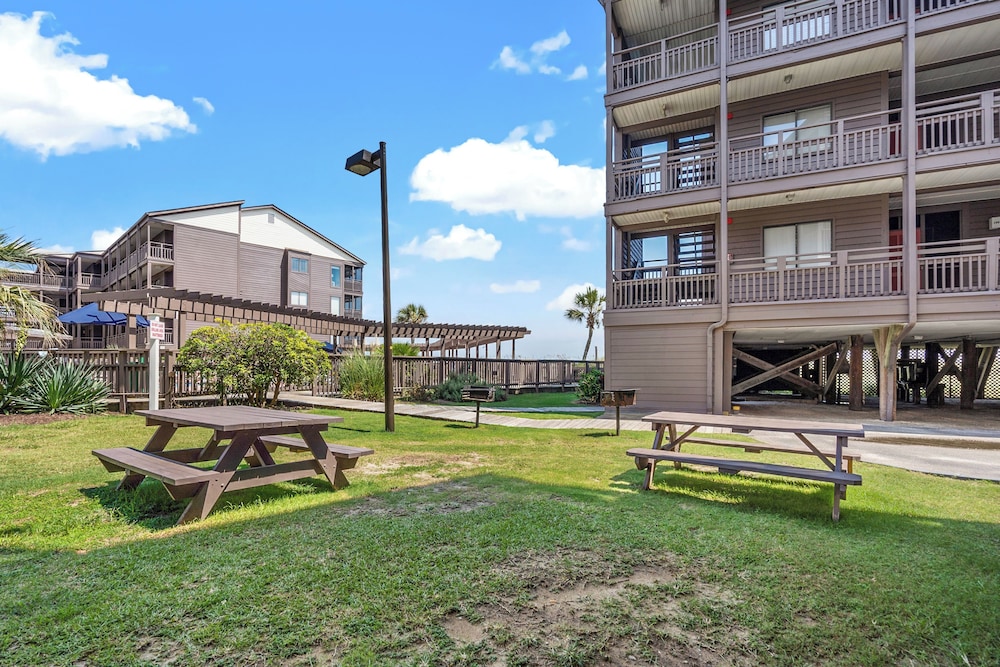 Tilghman Beach 316