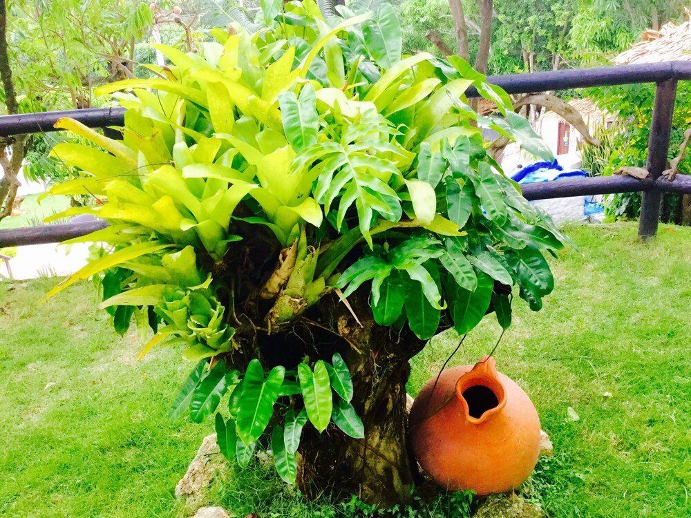 Santa Marta Vacations - Hotel Villa Cata - Property Image 19