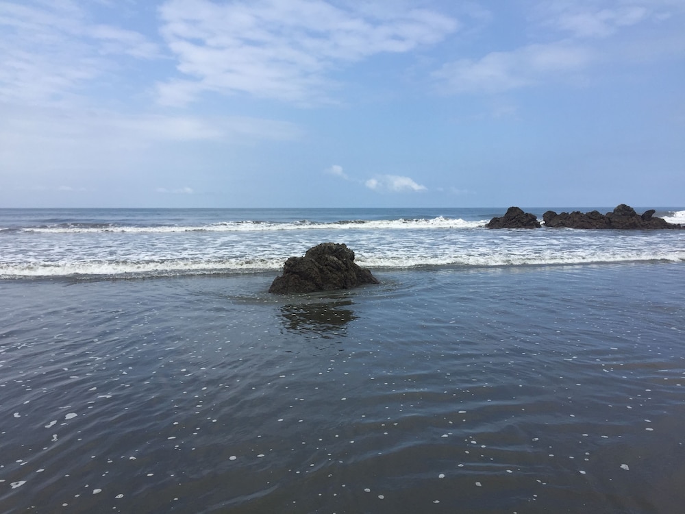 Photo 31