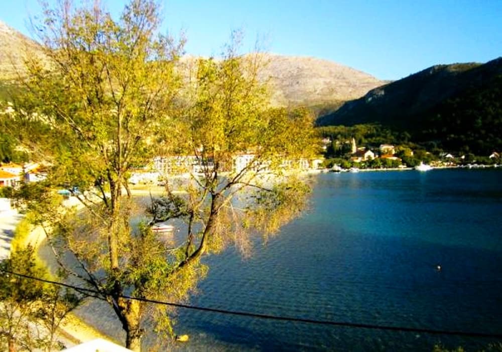 Photo 40