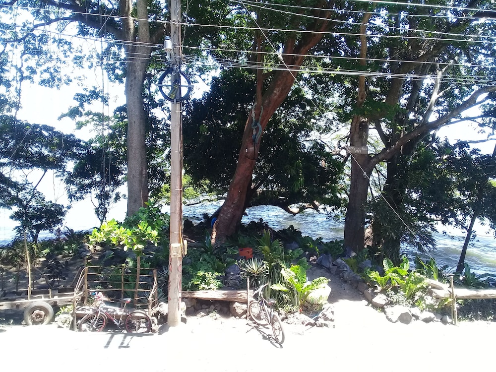 Photo 43