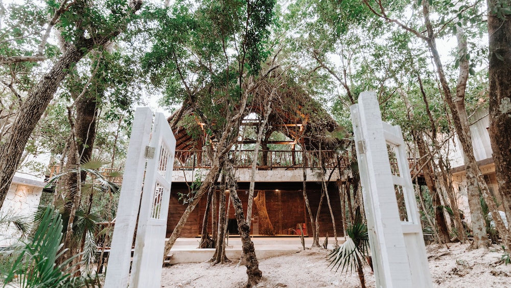 Tulum Jungle Villa Aire