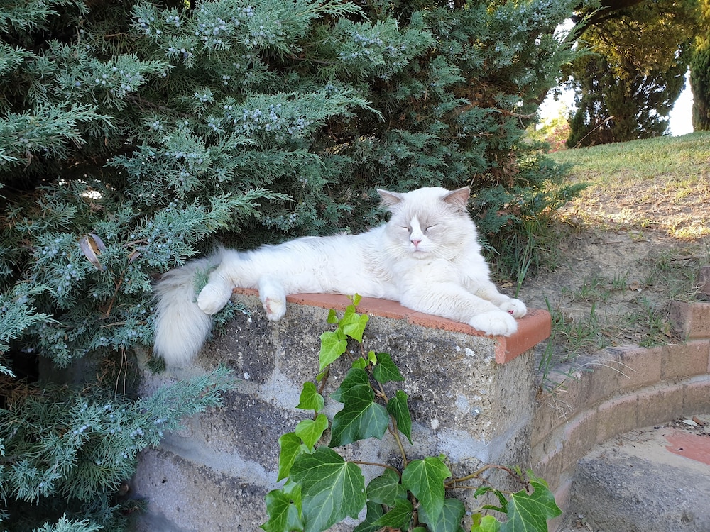 Agriturismo Colleverde
